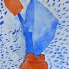 tulip